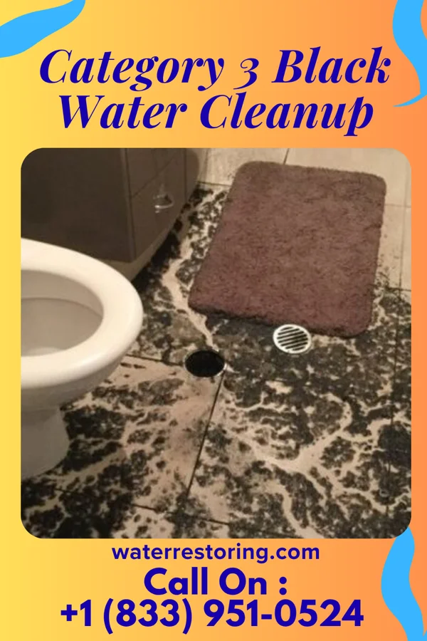 Category 3 Black Water Cleanup in Summit, MS